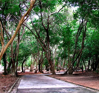 Imagem 0 do carrossel